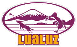LUALUZロゴステッカー
