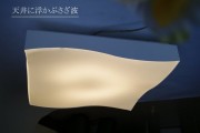 シーリングライト