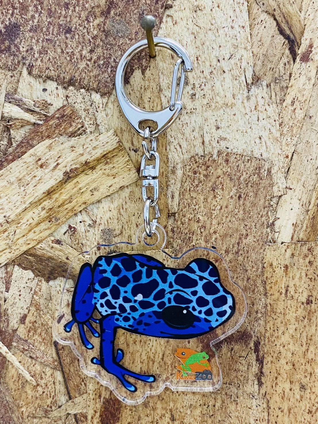 KawaZooオリジナル　アクリルキーホルダー　コバルトヤドクガエル