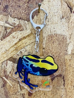 KawaZooオリジナル　アクリルキーホルダー　アイゾメヤドクガエル