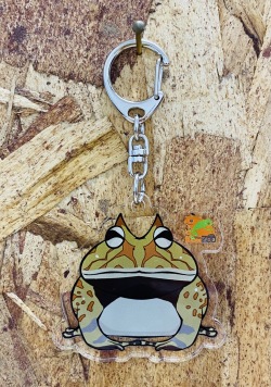 KawaZooオリジナル　アクリルキーホルダー　クランウェルツノガエル