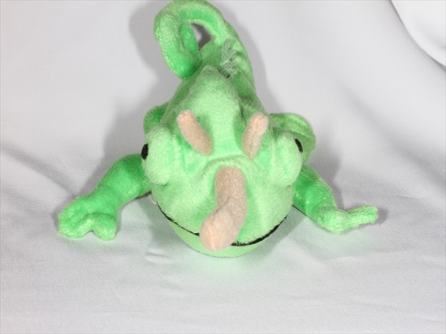 リルビーン ジャクソンカメレオン