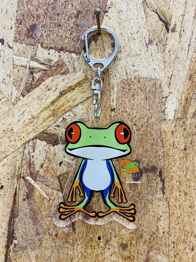 体感型カエル館 KawaZooオリジナル アクリルキーホルダー アカメアマガエル