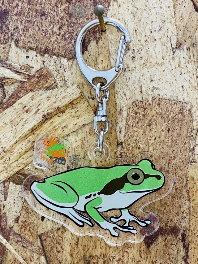 KawaZooオリジナル アクリルキーホルダー ニホンアマガエル