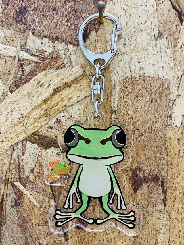 KawaZooオリジナル アクリルキーホルダー ニホンアマガエル