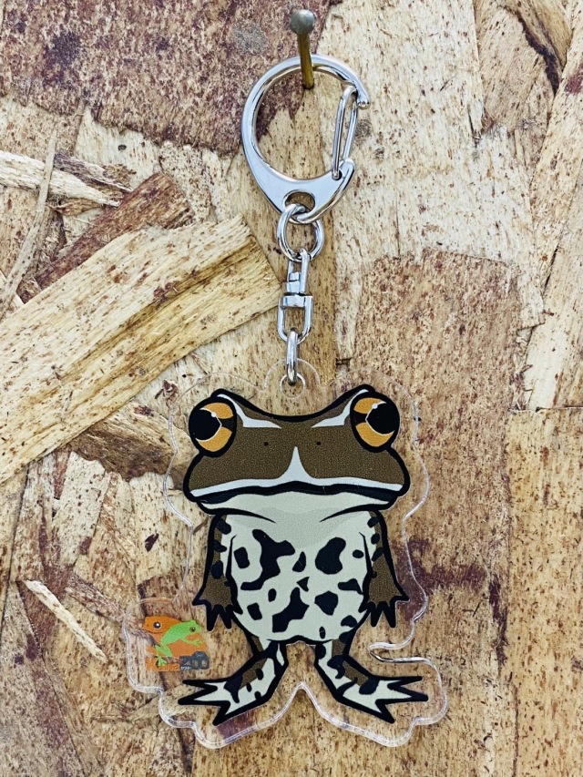 KawaZooオリジナル アクリルキーホルダー ヒキガエル