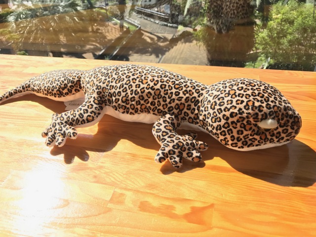 ヒョウモントカゲモドキぬいぐるみ フトアゴヒゲトカゲ