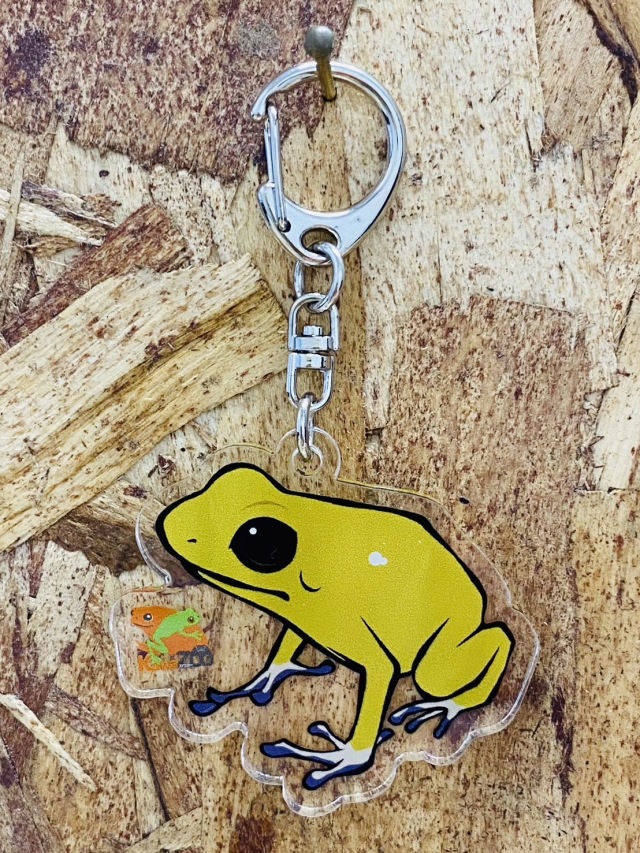 KawaZooオリジナル アクリルキーホルダー モウドクフキヤガエル