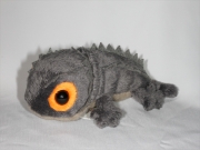 アカメカブトトカゲ
