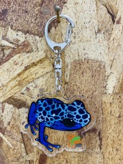 KawaZooオリジナル　アクリルキーホルダー　コバルトヤドクガエル