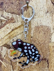 KawaZooオリジナル　アクリルキーホルダー　ミステリオサスヤドクガエル