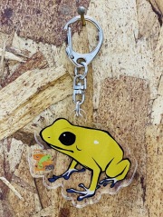 KawaZooオリジナル　アクリルキーホルダー　モウドクフキヤガエル