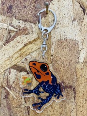 KawaZooオリジナル　アクリルキーホルダー　ズアカヤドクガエル