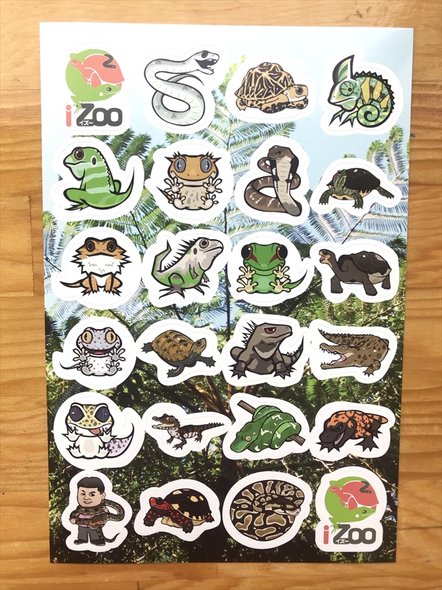 爬虫類シール