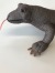 コモドドラゴンぬいぐるみ3