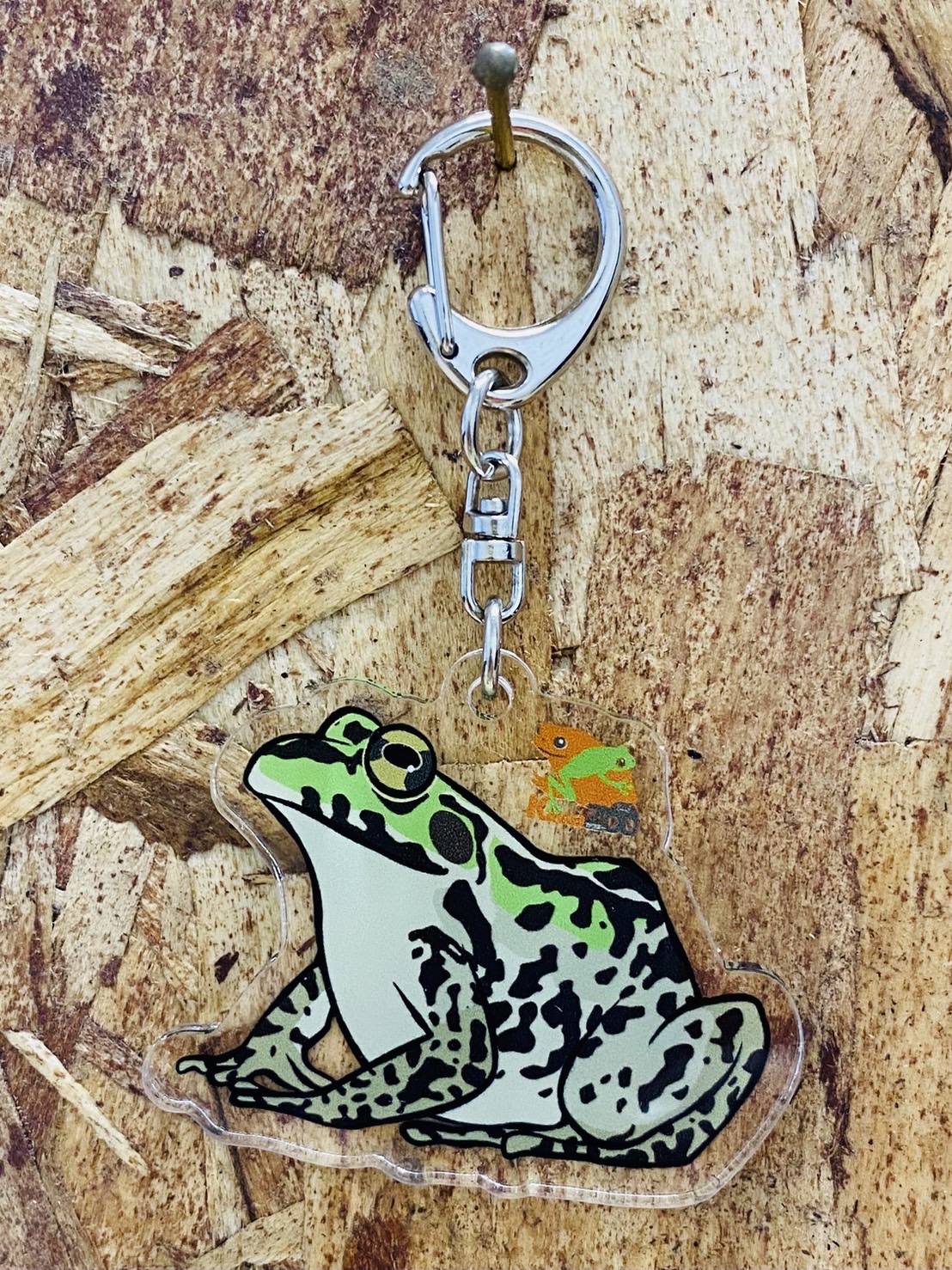 KawaZooオリジナル　アクリルキーホルダー　トノサマガエル