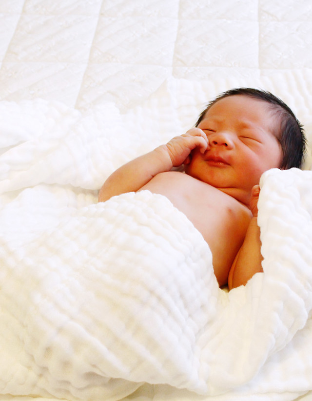 Rosemadame 綿100％の6重ガーゼケット