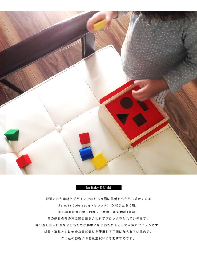 TOYS】かたちの箱/Sortierbox(日本正規品) クアトリノ かたはめ