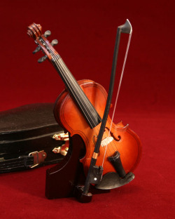 バイオリン　２３cm