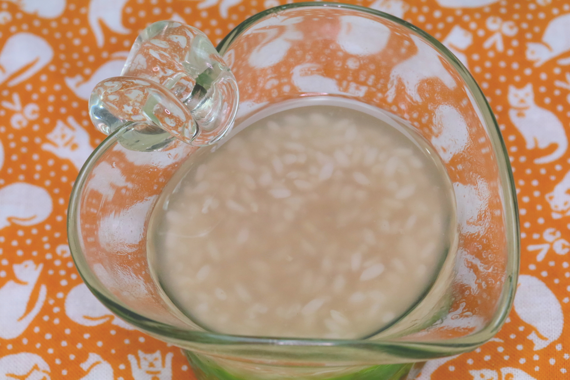 【各家庭にひとつ！】情熱弁当の自家製塩糀