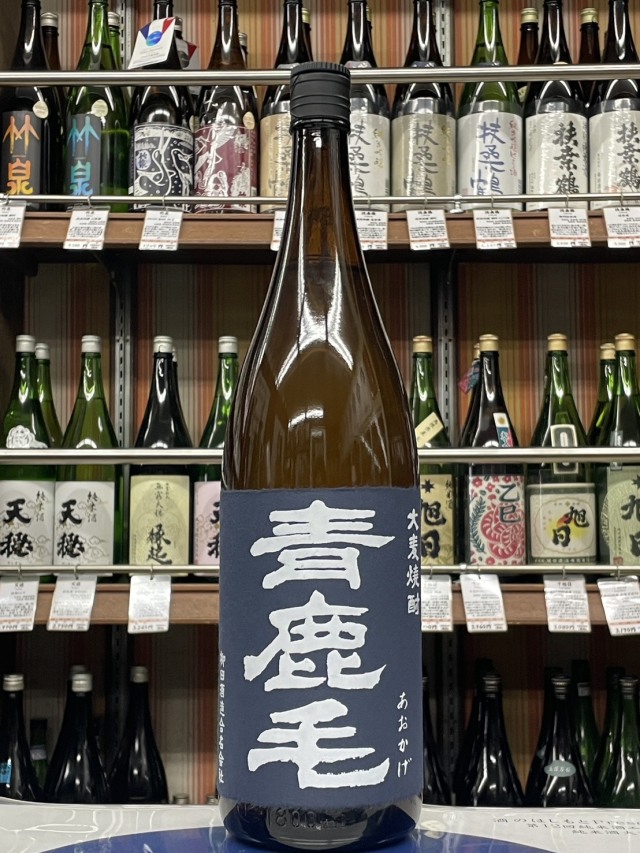 青鹿毛