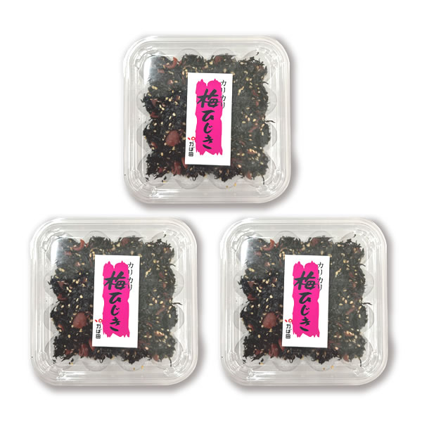 【超てんまる祭】【3個以上購入で1個あたり350円⇒298円】カリカリ梅ひじき 100g (822557)