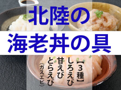 北陸の海老丼の具