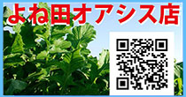よね田オアシス店