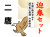 迎春セット