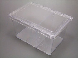 クリアースライダー販売/カブトムシ・クワガタ専門店カブクワファーム