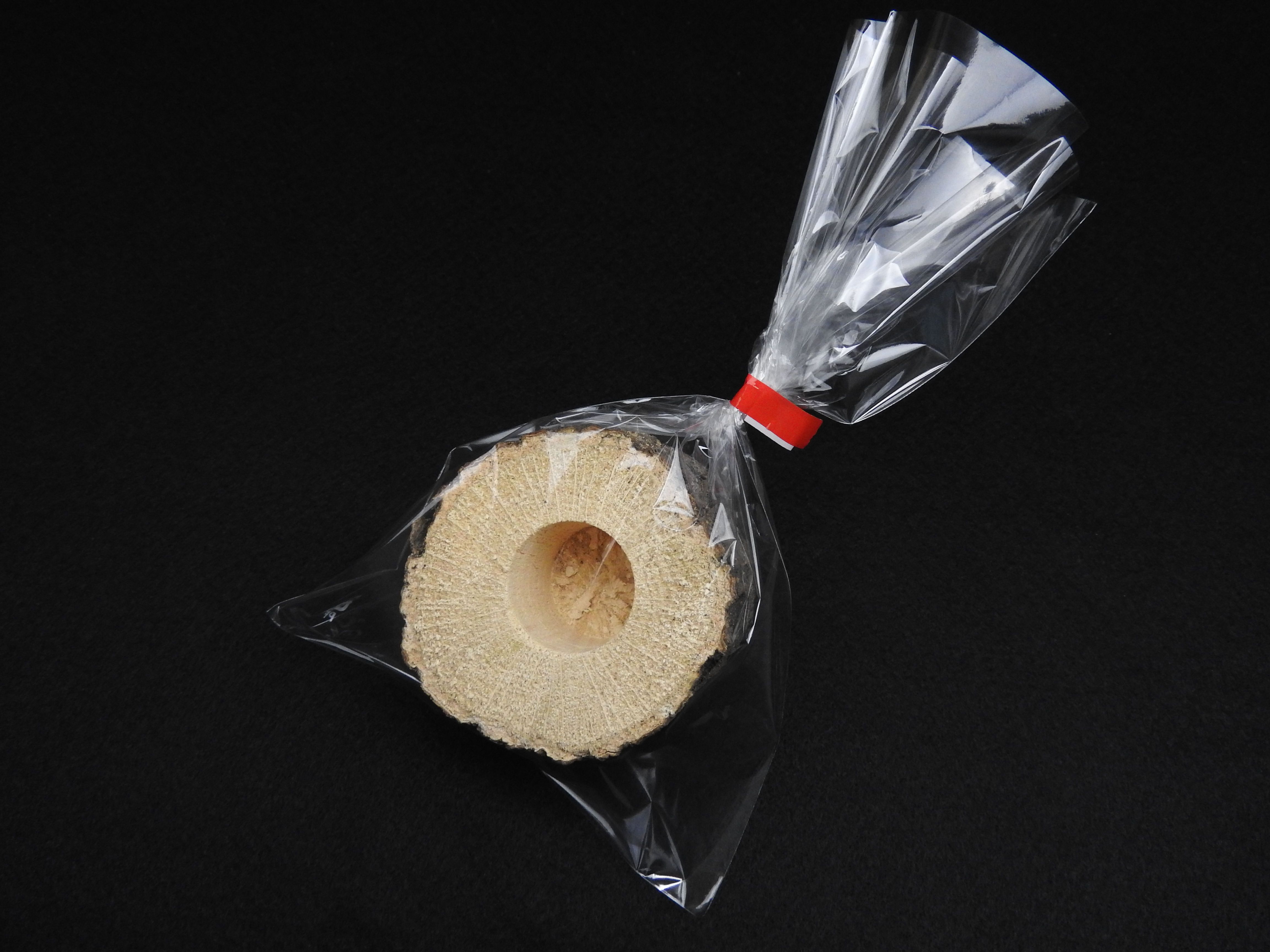 16g 専用 エサ皿 朽木タイプ