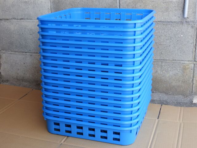 【同梱不可商品】ボトルコンテナ ブルー ワイド １６個セット ※菌糸ボトル収納に便利です※