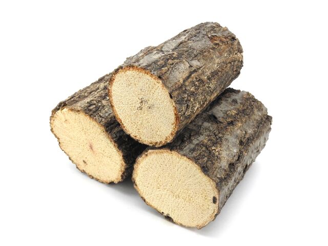 産卵木 クヌギ ナラ材 混合 ＳＳサイズ 直径４-５cm １本