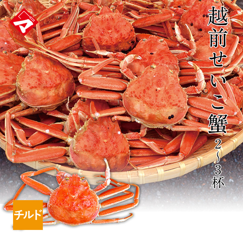 【チルド発送】越前せいこ蟹（せこ蟹）特大2杯または大3杯入（杯おまかせ)　越前蟹　越前カニ　越前ガニ [_116926_]保冷シート込み