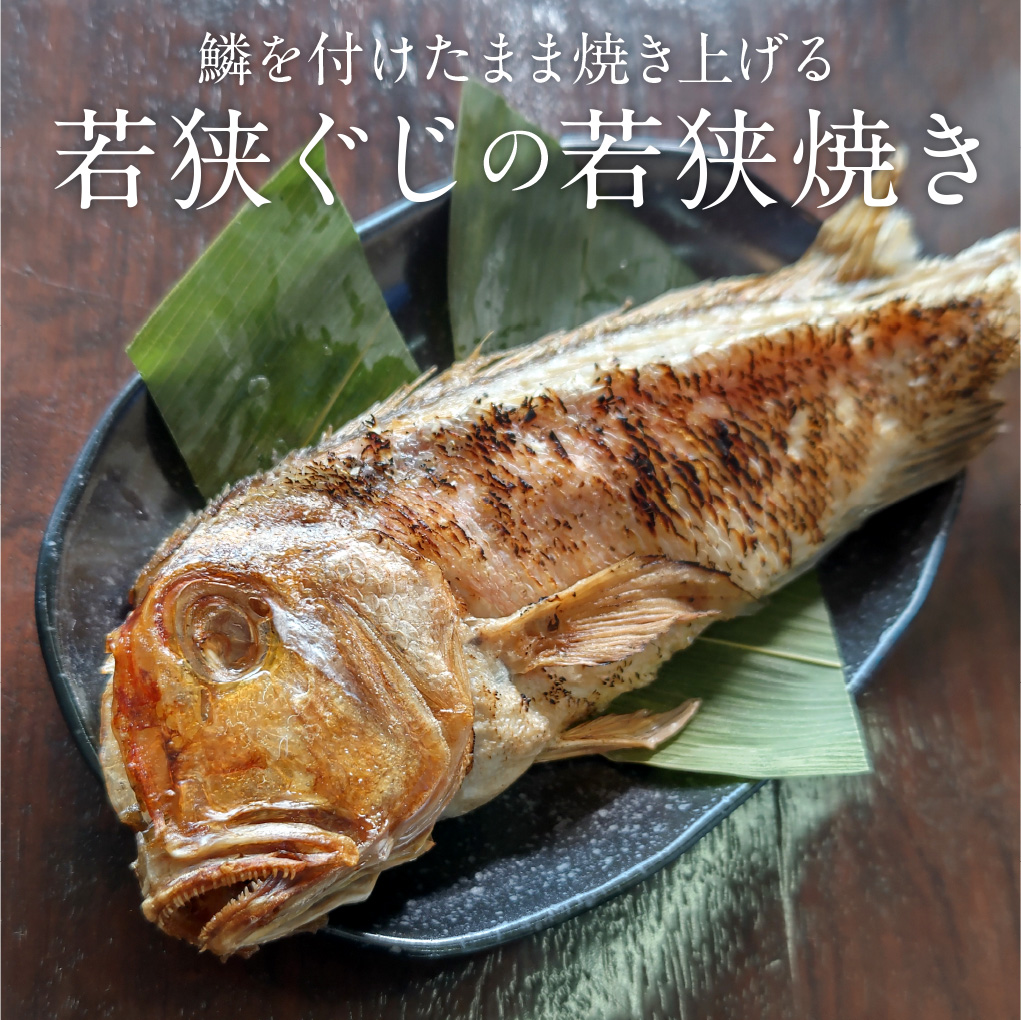 【冷蔵仕様】若狭ぐじ(甘鯛)の若狭焼き（約500g）若狭でで水揚げされた若狭ぐじを焼き上げてお届け[_112606_]【NE】