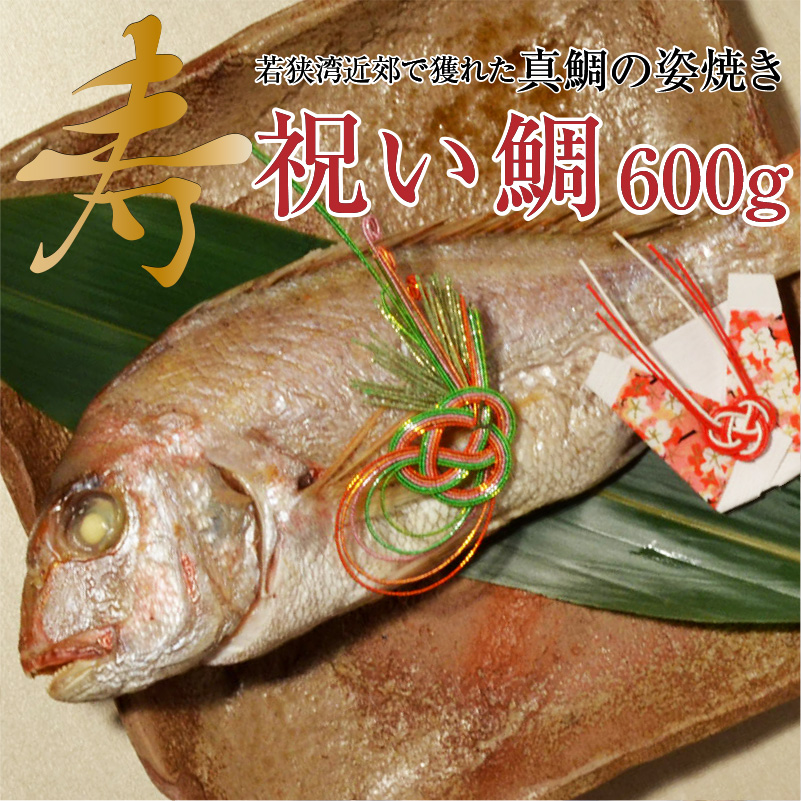 【送料無料】【冷凍】ギフト対応祝い鯛 大（約600ｇ）若狭湾で水揚げされた真鯛を焼き上げてお届け [_212605-6_]【NE】