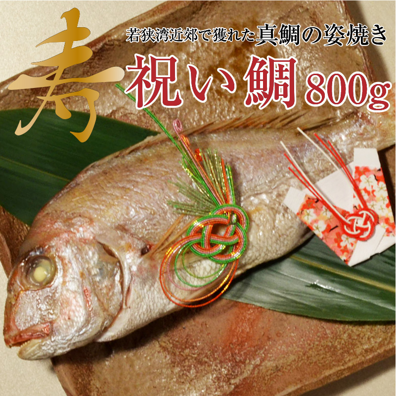 甘鯛延縄　新品 釣赤甘鯛 C』 鮮魚 さかな 九州 宮崎 川南町 新鮮 魚介 海の幸
