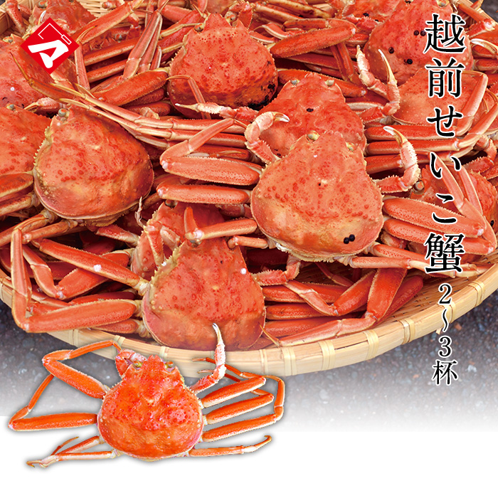 【冷凍発送】越前せいこ蟹（せこ蟹）特大2杯または大3杯入（杯おまかせ)　越前蟹　越前カニ　越前ガニ [_216926_]保冷容器込み【NE】