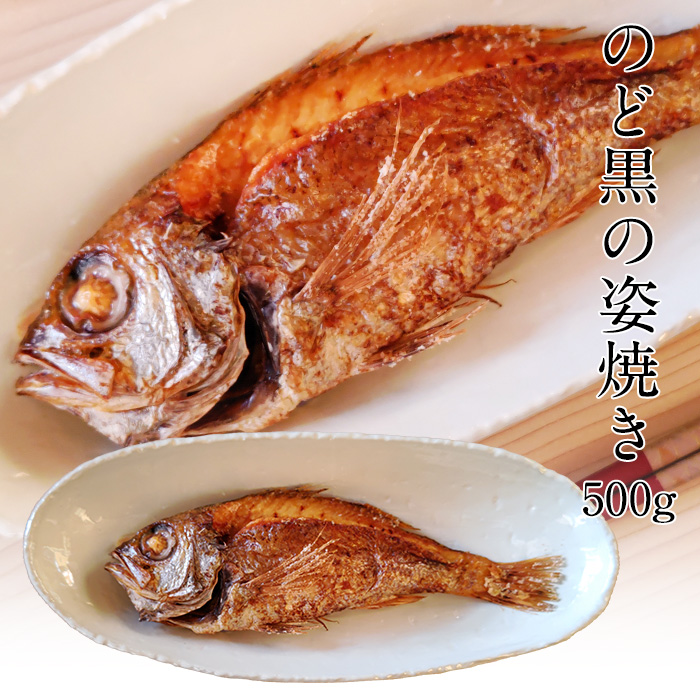 完全受注 のど黒の姿焼き500g【大】 若狭でで水揚げされたのど黒を焼き上げてお届け[_112607-5_]【NE】