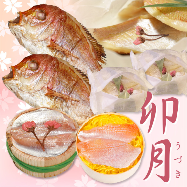 【送料無料】春を味わう特別仕立て　桜色のごちそうセット・卯月[_217923_]