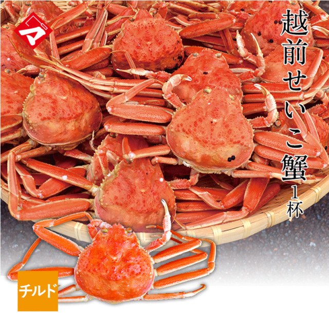 【チルド発送】越前せいこ蟹（せこ蟹）1杯　越前蟹　越前カニ　越前ガニ [_116927_]保冷シート込み