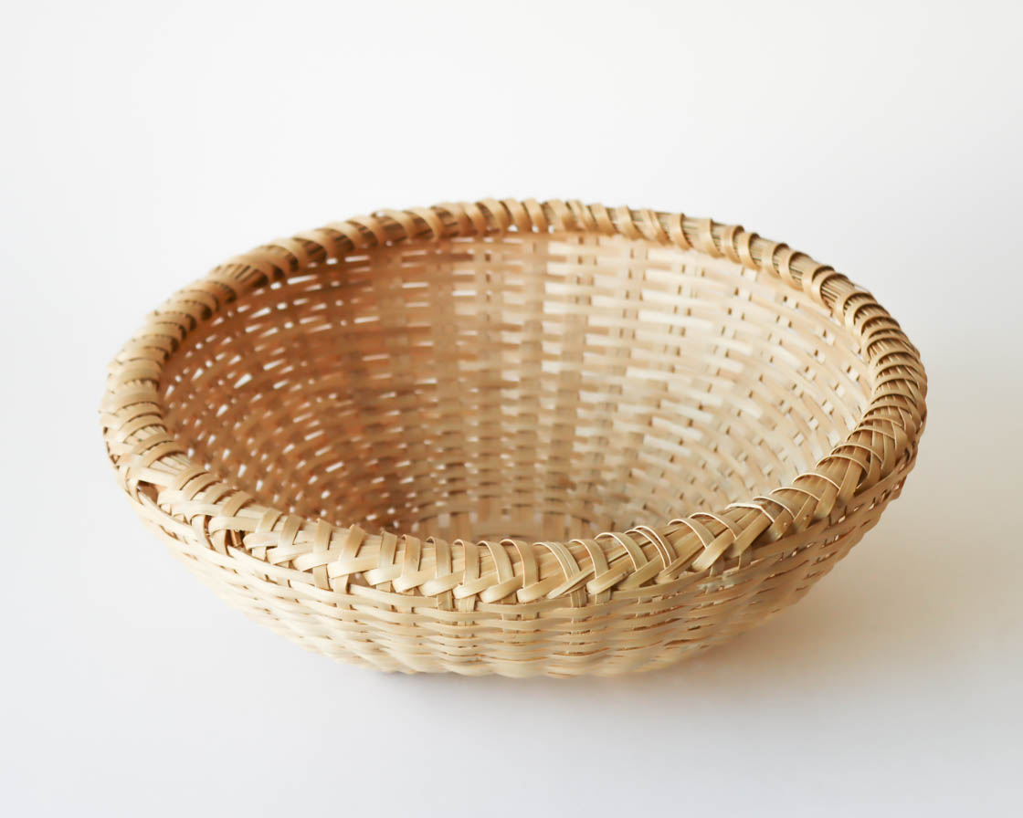 沖縄 ホウライチク バーキ (大)