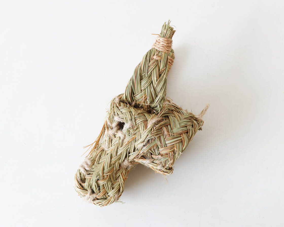 スペイン エスパルト ドンキー