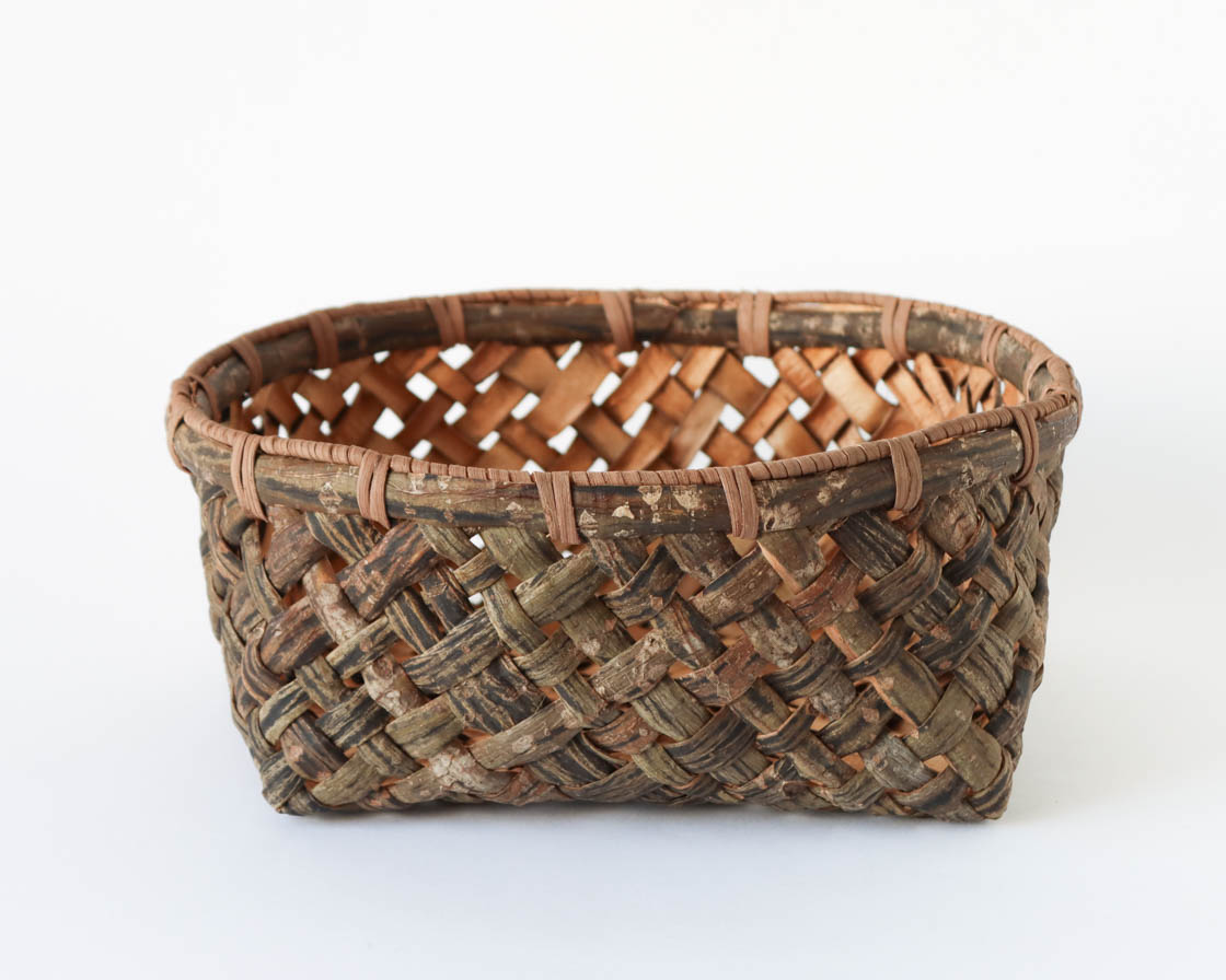 長野 ウリハダカエデ 浅かご