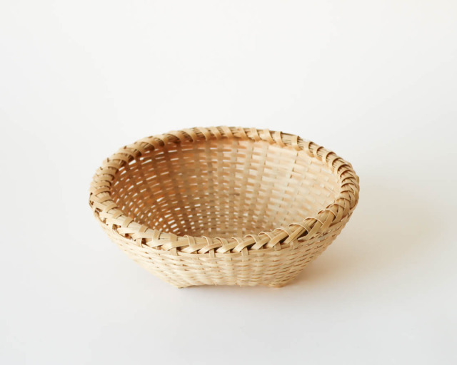 沖縄 ホウライチク バーキ (小)