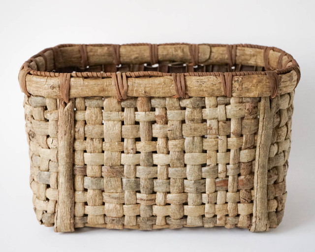 世界のかご カゴアミドリ