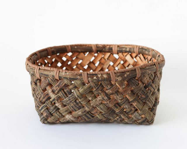 長野 ウリハダカエデ 浅かご