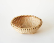 沖縄 ホウライチク バーキ (小)