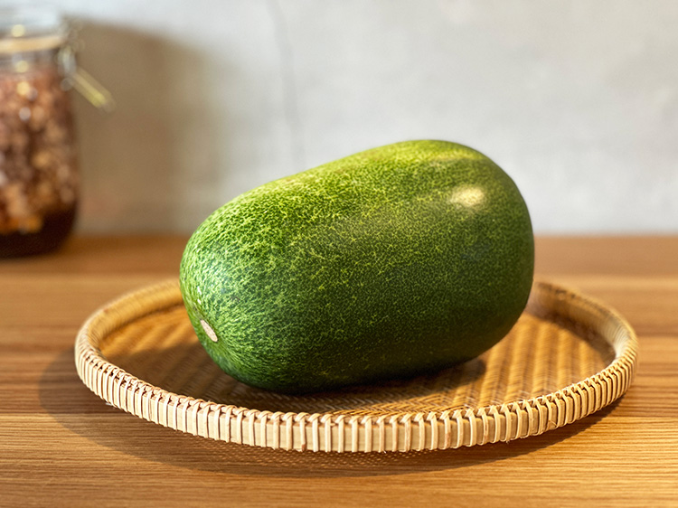 鹿児島県産ミニとうがん