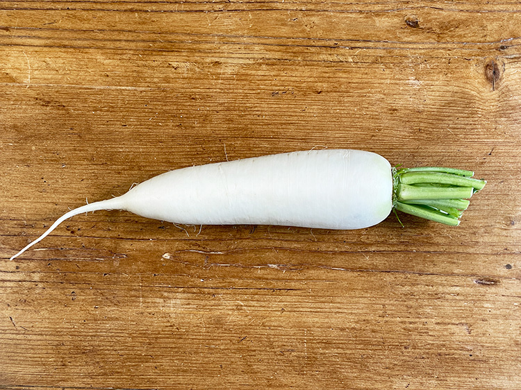 鹿児島の大根 500ｇ～【2kg】